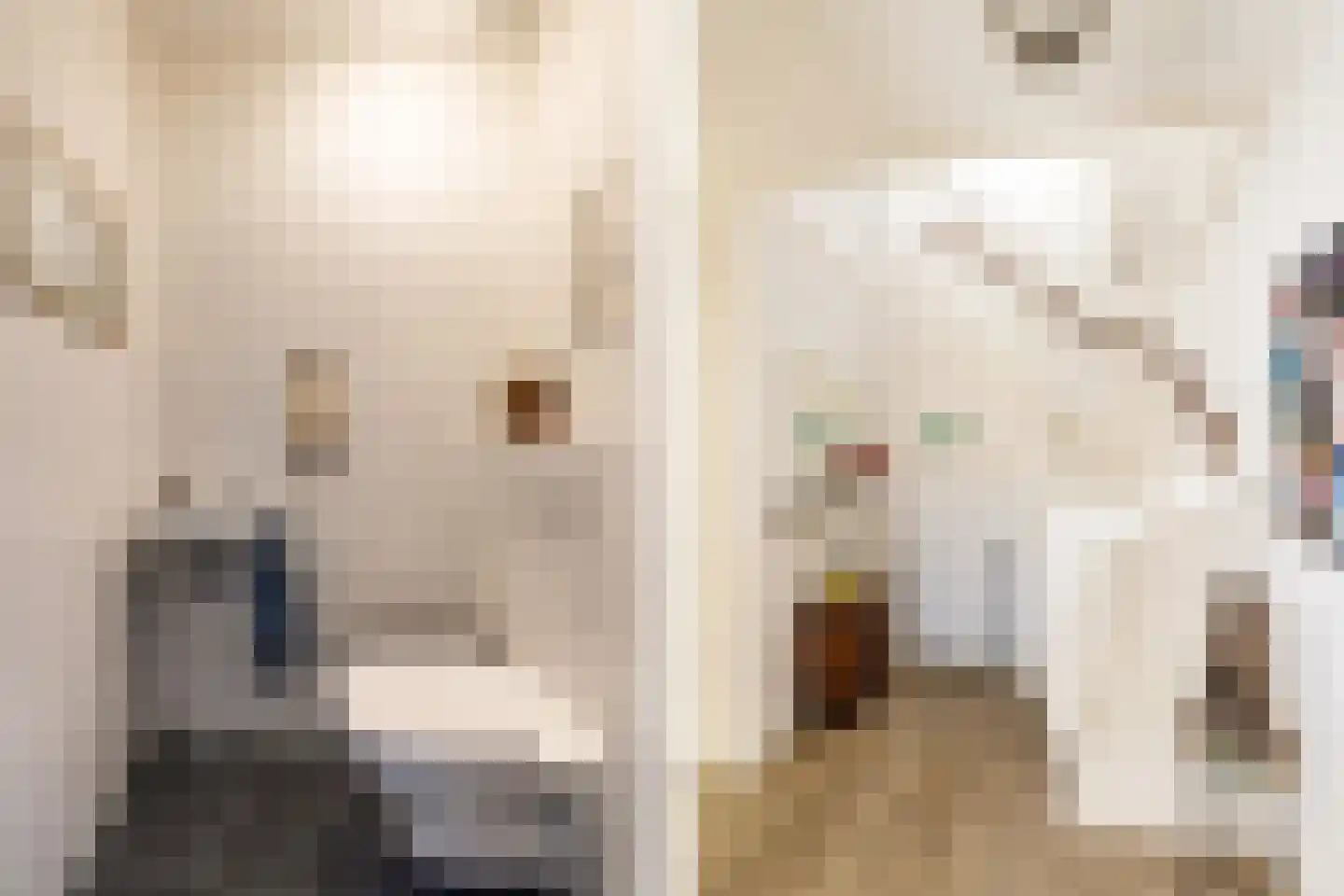 Vredelaan 3 Hillegom thumbnail 21