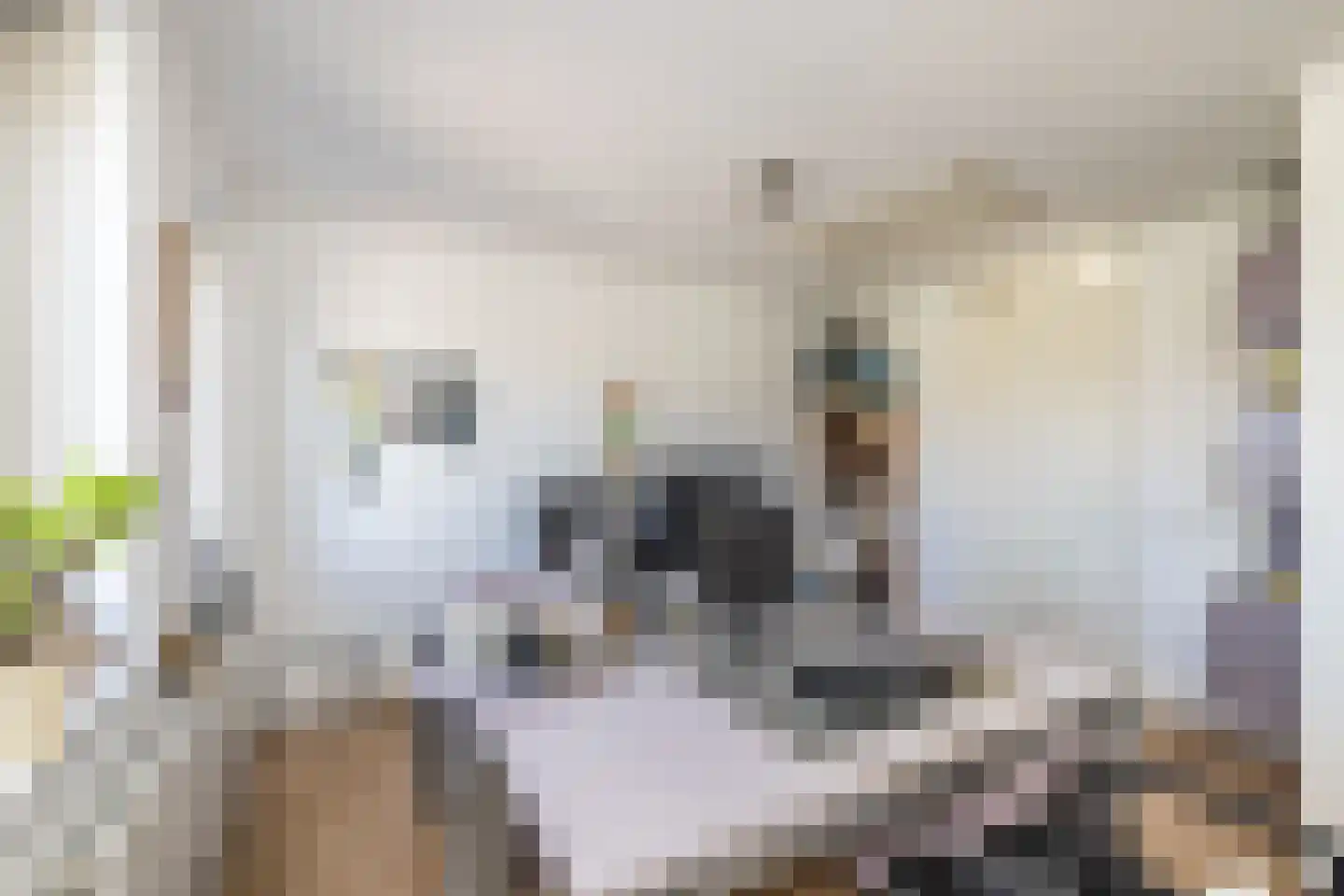 Vredelaan 3 Hillegom thumbnail 29
