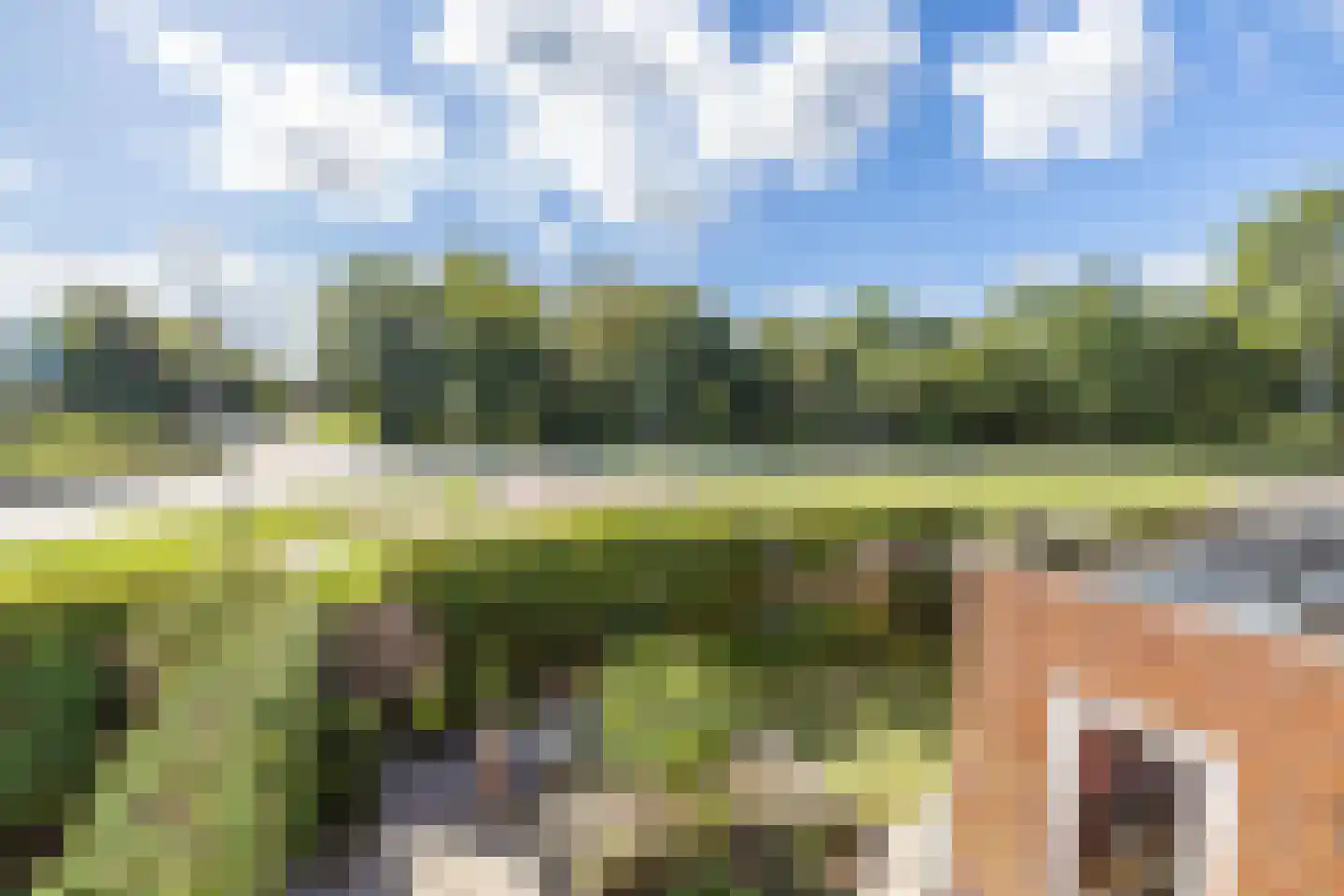 Vredelaan 3 Hillegom thumbnail 44