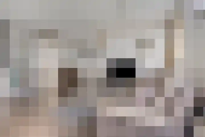 Vredelaan 41 Hillegom thumbnail 10