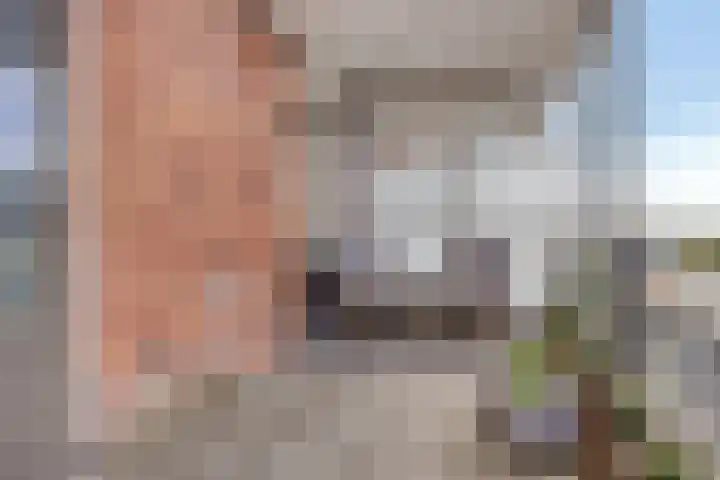 Vredelaan 41 Hillegom thumbnail 15