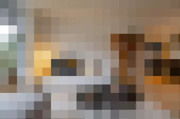 Vredelaan 41 Roden thumbnail 11