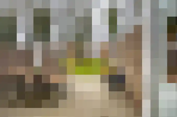 Vredelaan 41 Roden thumbnail 18
