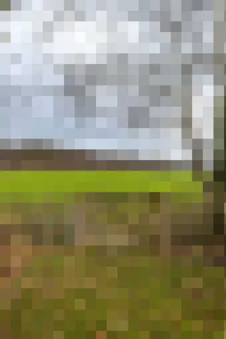 Vredelaan 41 Roden thumbnail 22