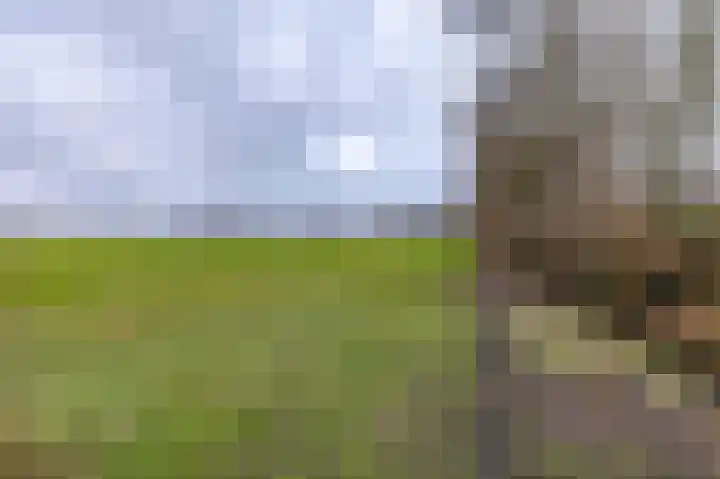 Vredelaan 41 Roden thumbnail 23