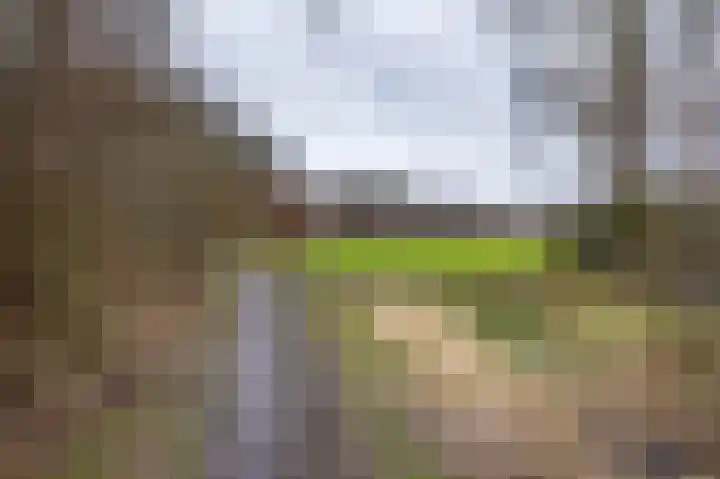 Vredelaan 41 Roden thumbnail 24