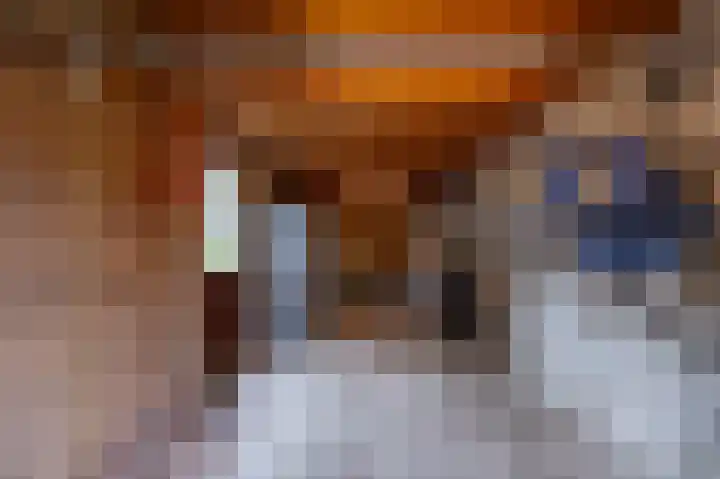 Vredelaan 41 Roden thumbnail 27