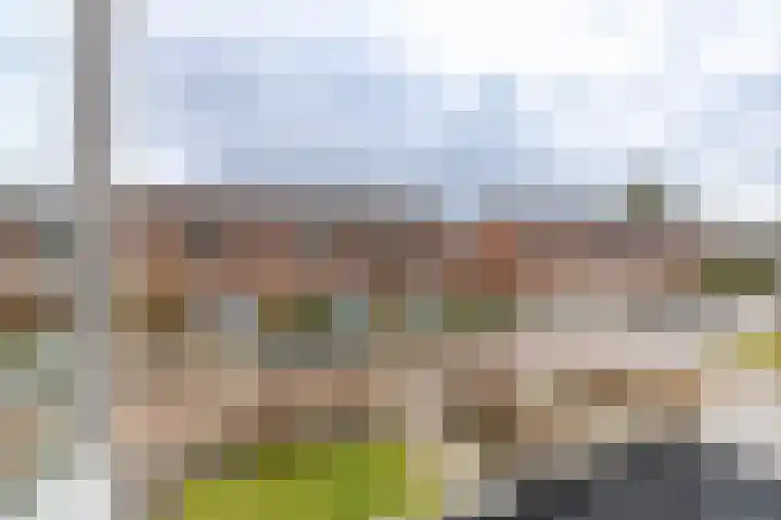 Vredelaan 41 Roden thumbnail 34