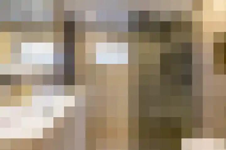Vredelaan 41 Roden thumbnail 37