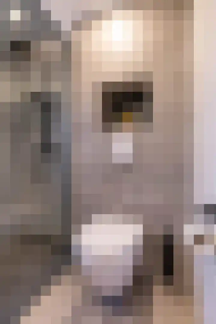Vredelaan 41 Roden thumbnail 39