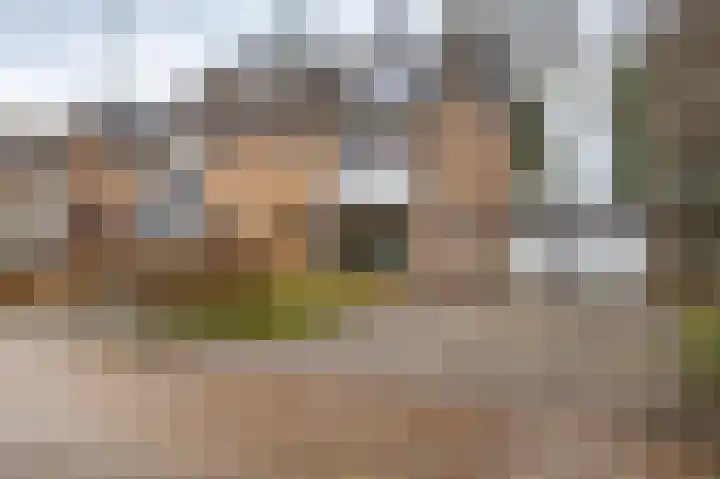 Vredelaan 41 Roden thumbnail 4
