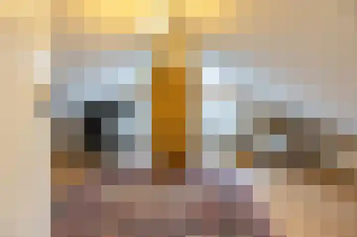 Vredelaan 41 Roden thumbnail 42