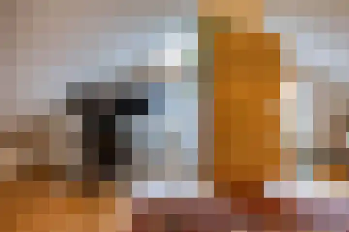 Vredelaan 41 Roden thumbnail 43