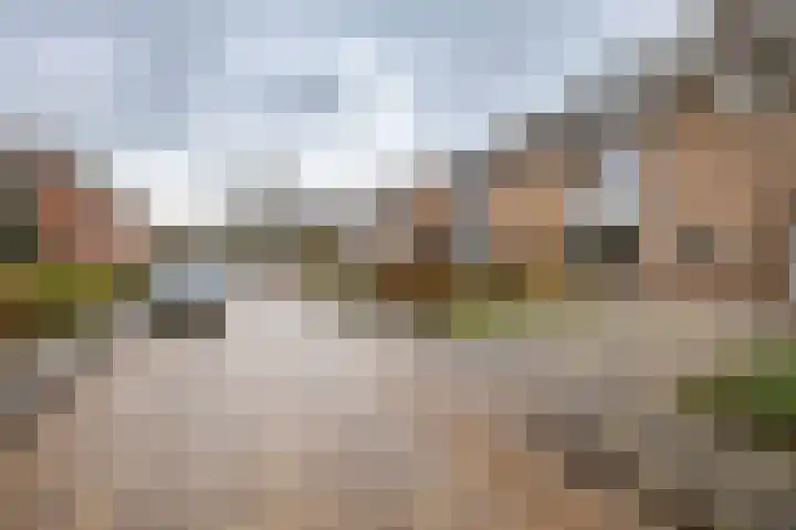 Vredelaan 41 Roden thumbnail 49