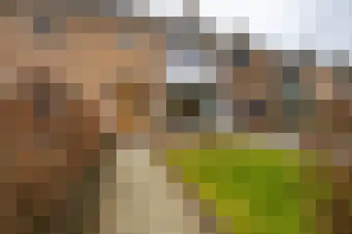 Vredelaan 41 Roden thumbnail 5