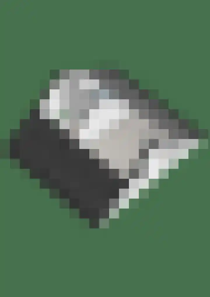Vredelaan 41 Roden thumbnail 55