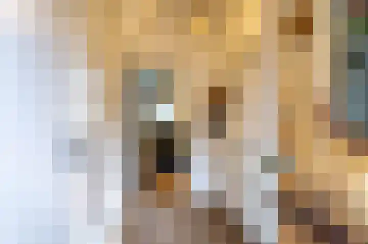 Vredelaan 41 Roden thumbnail 6