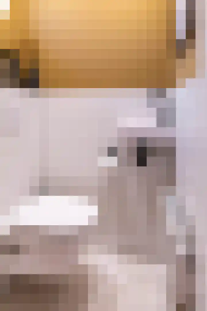 Vredelaan 41 Roden thumbnail 7