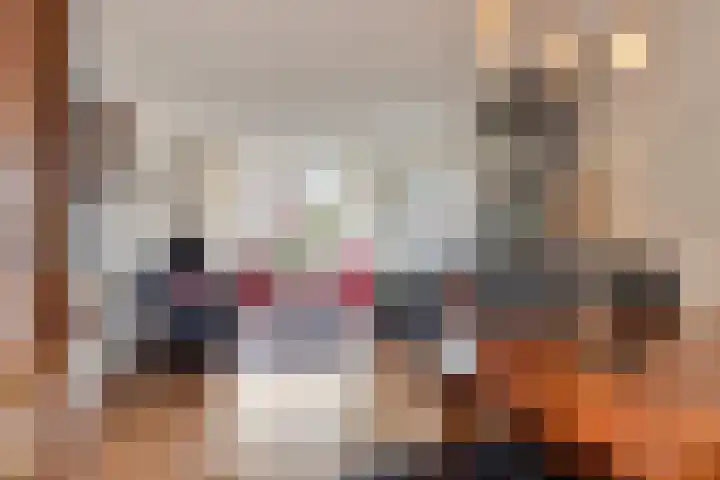 Vredelaan 43 Roden thumbnail 13