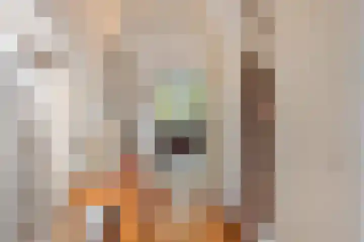 Vredelaan 43 Roden thumbnail 16