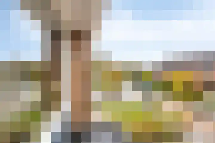 Vredelaan 43 Roden thumbnail 25
