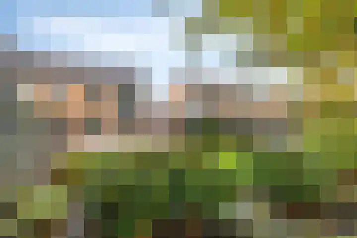 Vredelaan 43 Roden thumbnail 32
