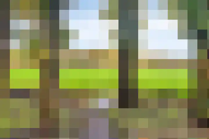 Vredelaan 43 Roden thumbnail 38