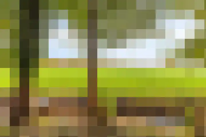 Vredelaan 43 Roden thumbnail 39
