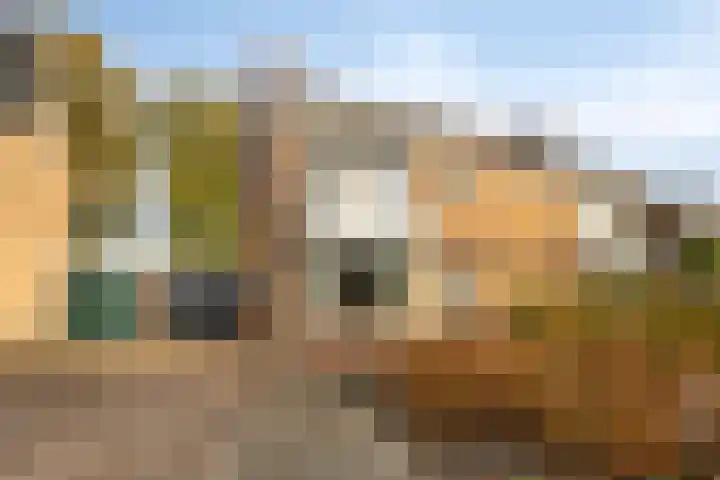 Vredelaan 43 Roden thumbnail 41