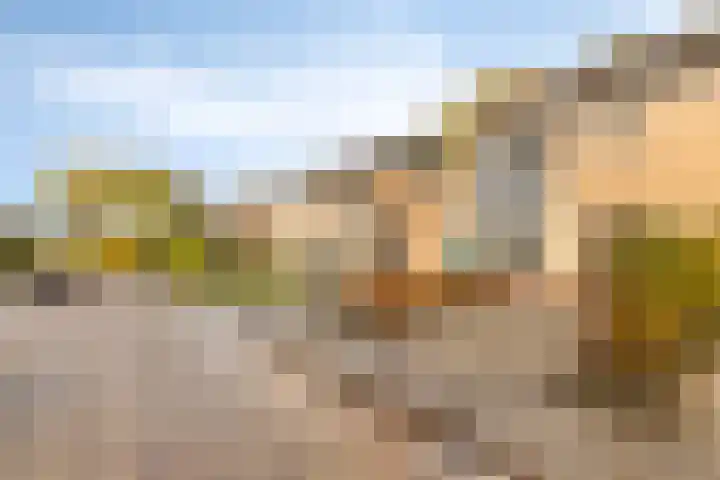 Vredelaan 43 Roden thumbnail 43