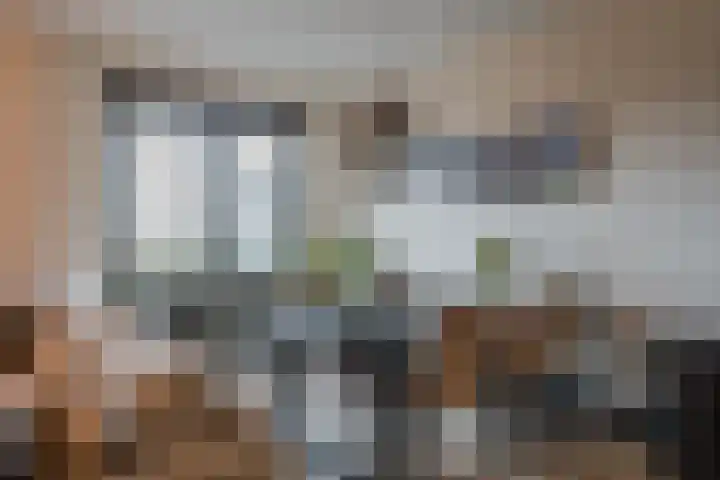 Vredelaan 45 Hillegom thumbnail 20