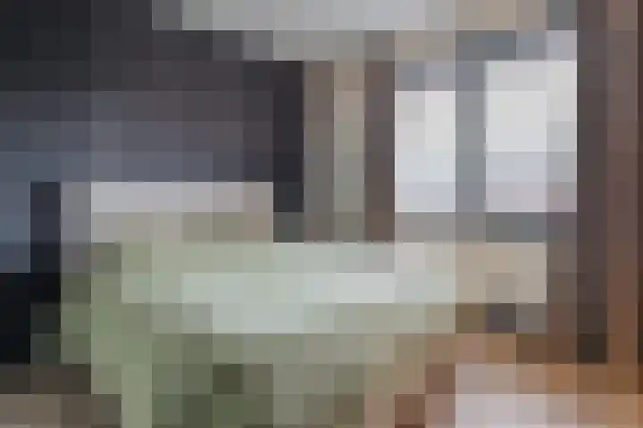 Vredelaan 45 Hillegom thumbnail 29
