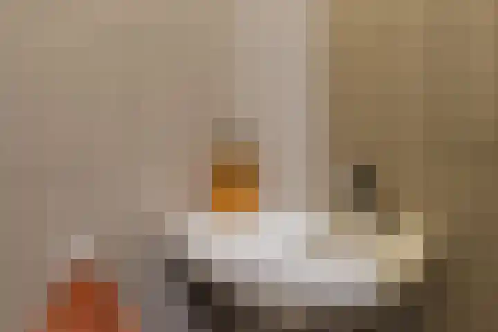 Vredelaan 45 Hillegom thumbnail 41