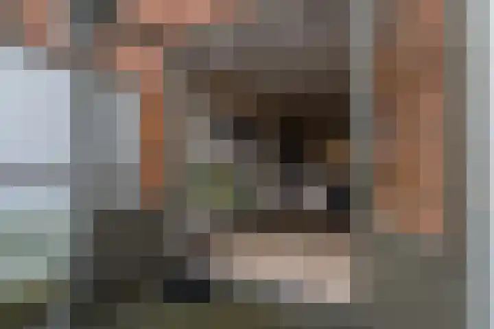 Vredelaan 45 Hillegom thumbnail 43