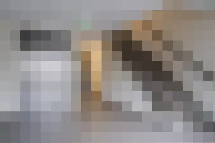 Vredelaan 45 Hillegom thumbnail 5