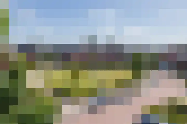 Vredelaan 63 Hillegom thumbnail 34