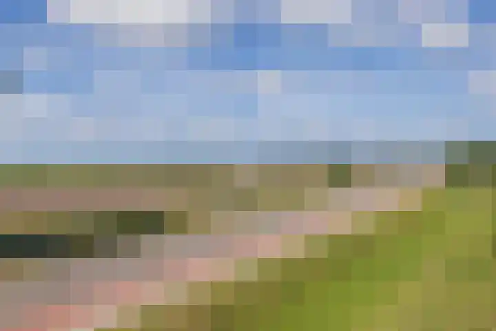 Vredelaan 63 Hillegom thumbnail 36