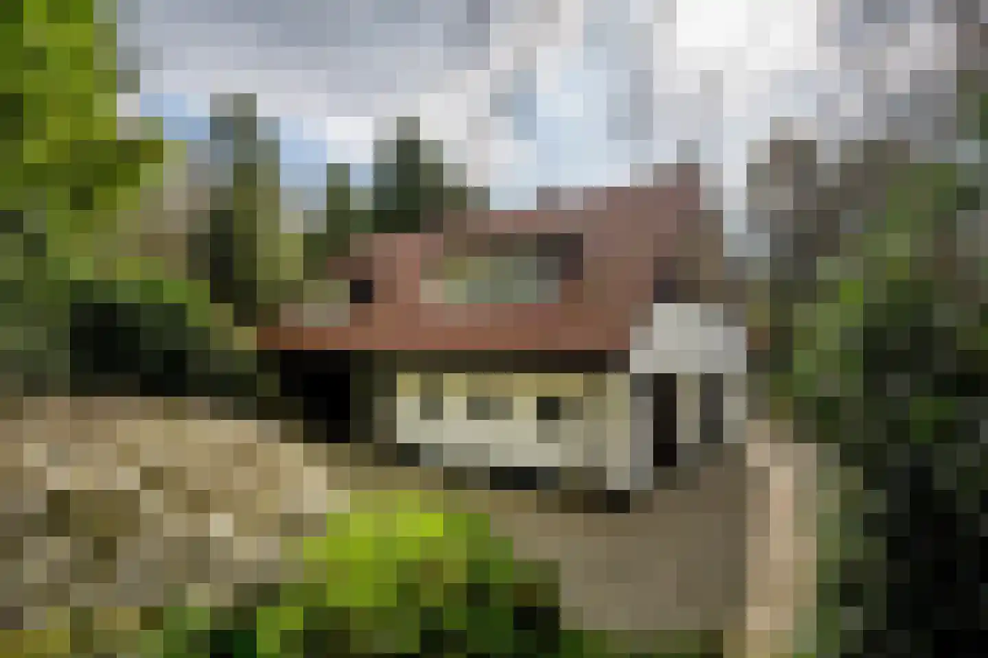 Vredelaan 76 Laren thumbnail 11