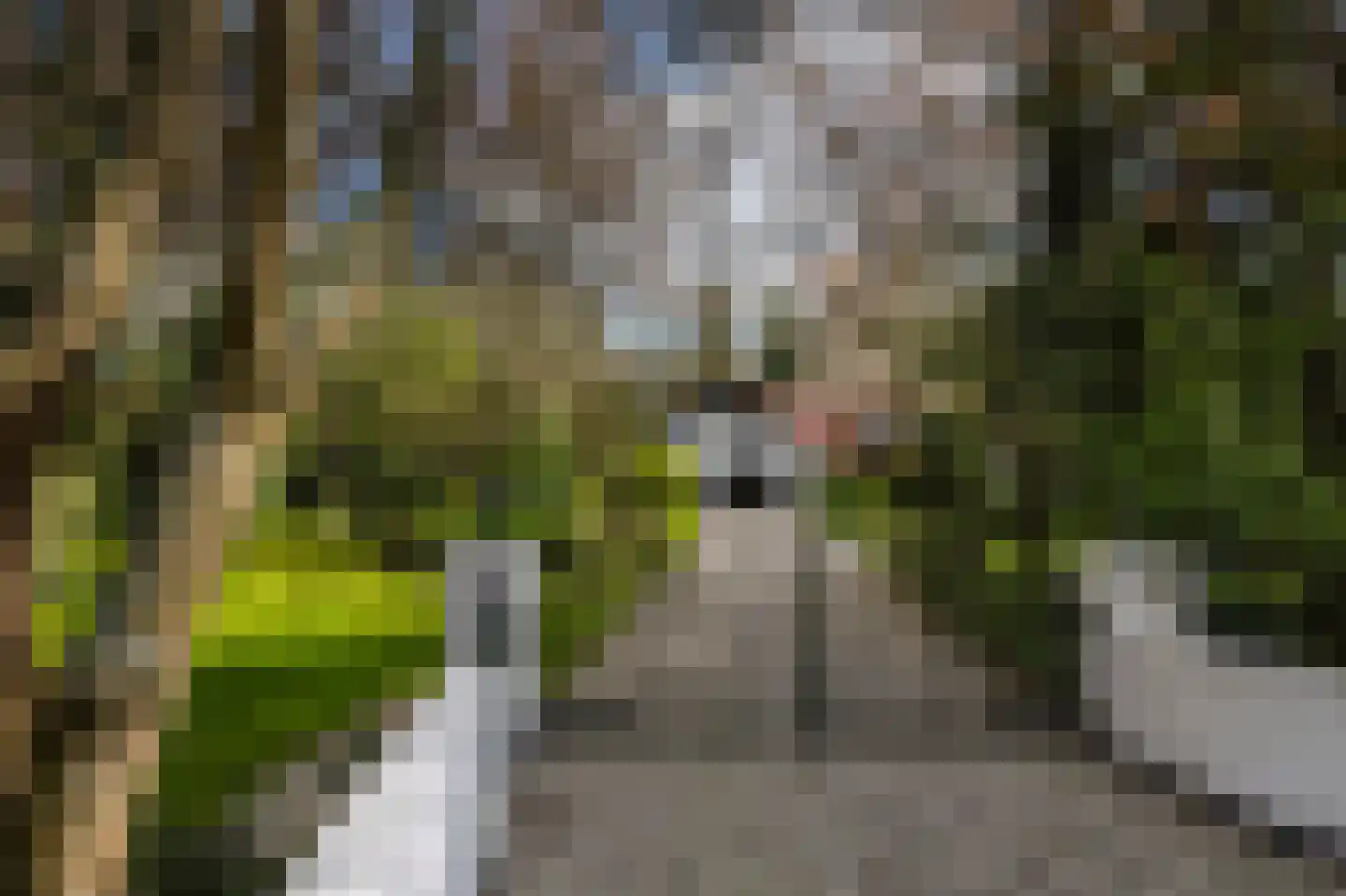 Vredelaan 76 Laren thumbnail 13