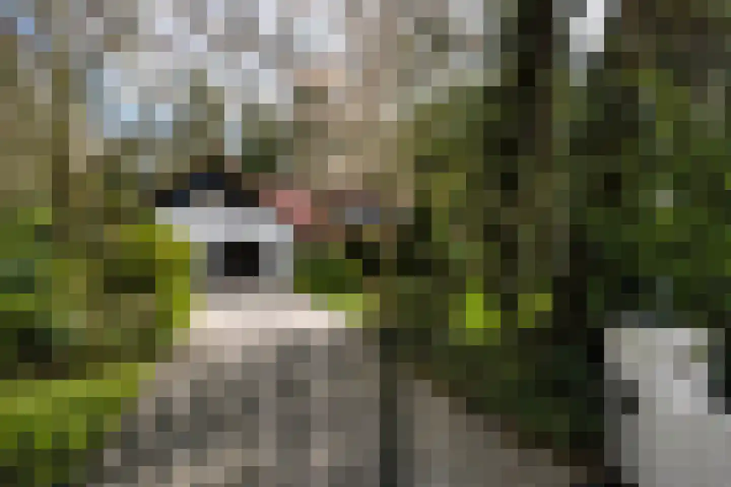 Vredelaan 76 Laren thumbnail 14