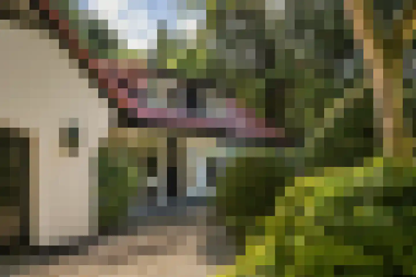 Vredelaan 76 Laren thumbnail 15