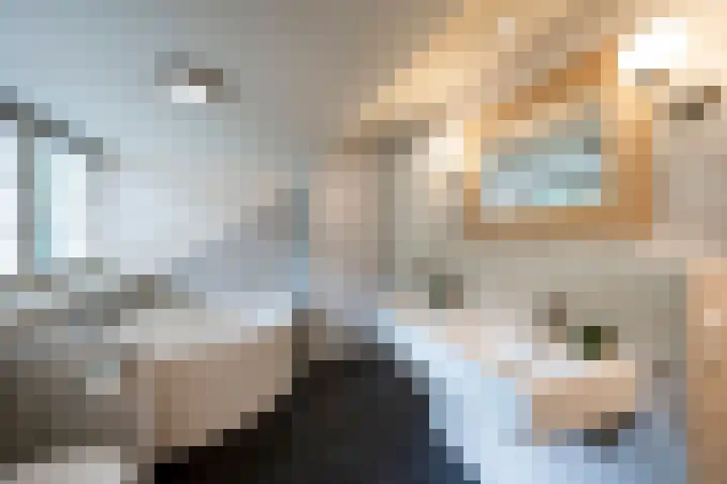 Vredelaan 76 Laren thumbnail 49