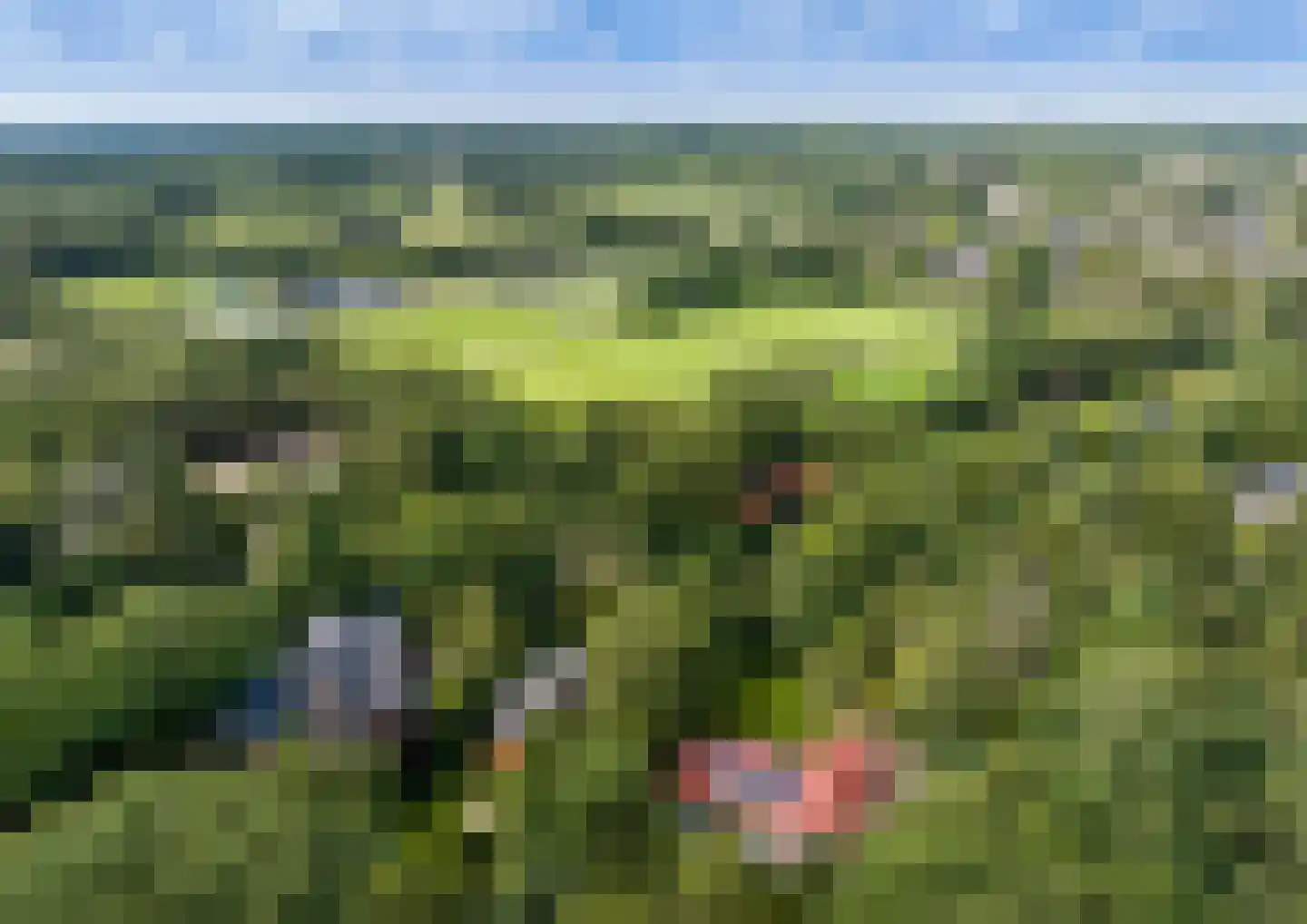 Vredelaan 76 Laren thumbnail 5
