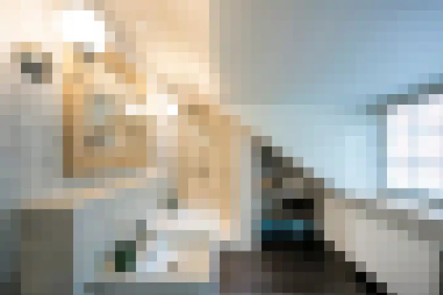 Vredelaan 76 Laren thumbnail 50