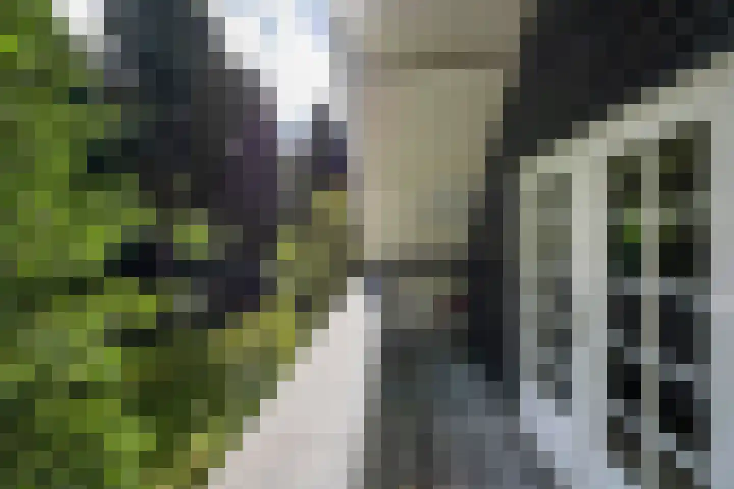 Vredelaan 76 Laren thumbnail 56
