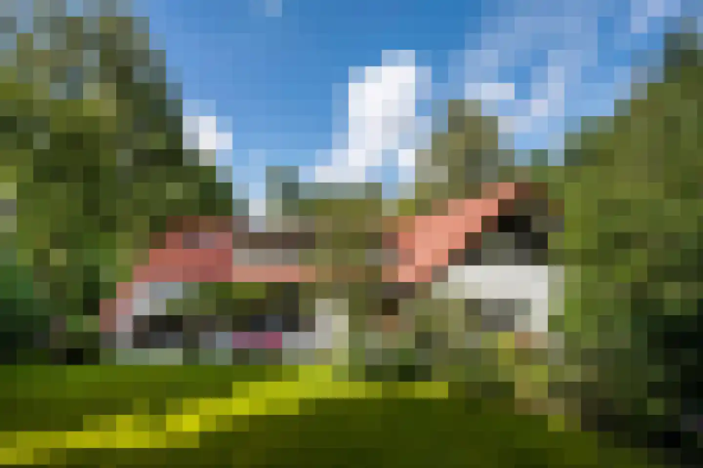 Vredelaan 76 Laren thumbnail 58