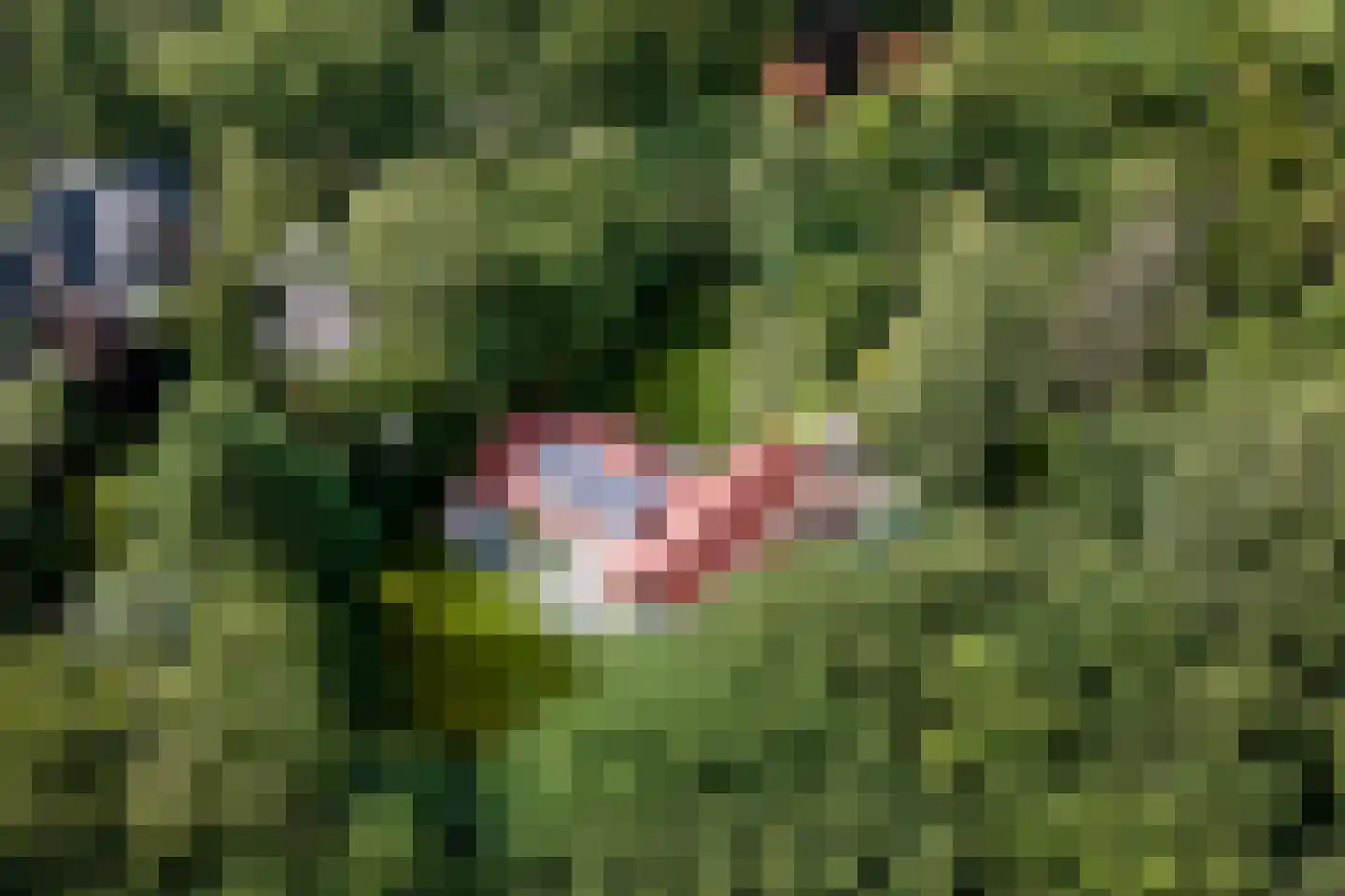 Vredelaan 76 Laren thumbnail 6