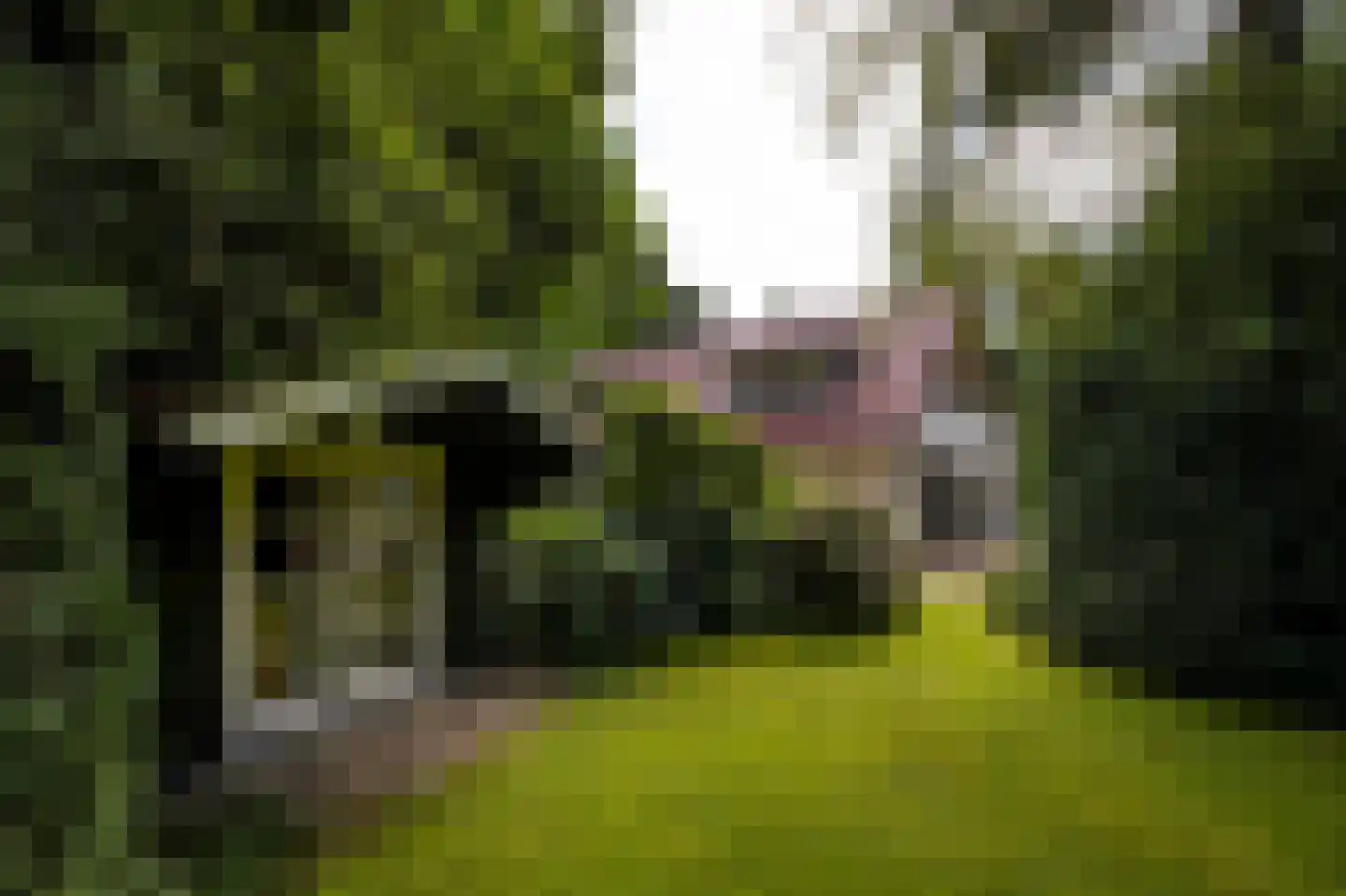 Vredelaan 76 Laren thumbnail 64