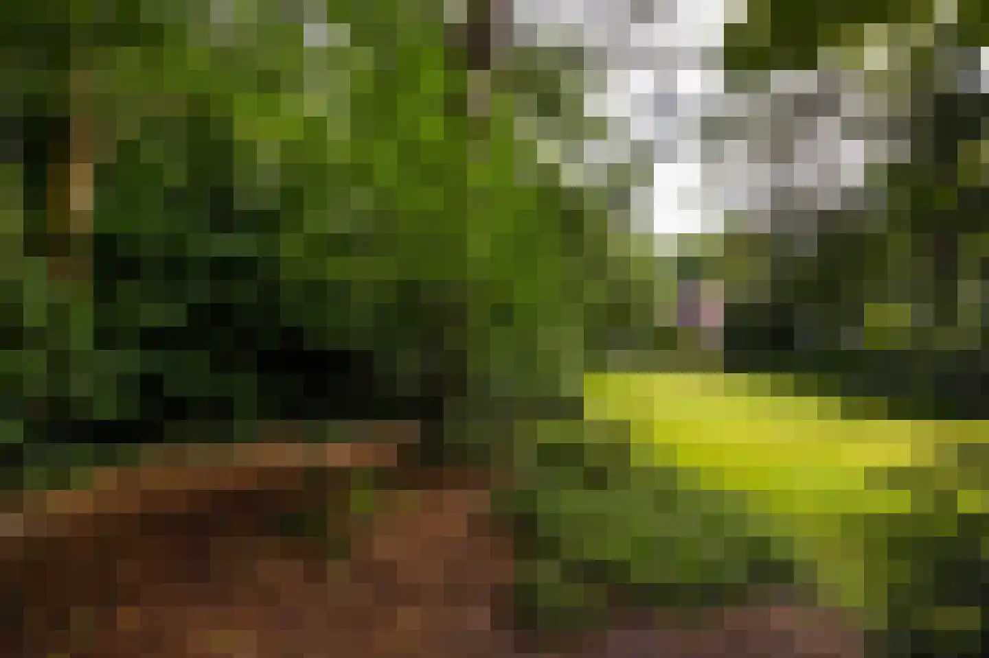 Vredelaan 76 Laren thumbnail 65