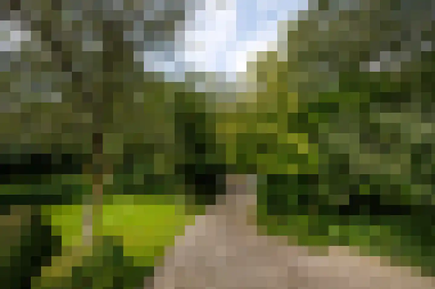 Vredelaan 76 Laren thumbnail 66